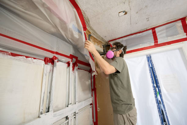 Best Commercial Mold Inspection  in USA